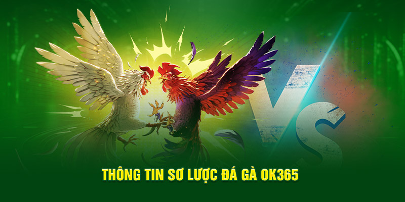 Thông tin sơ lược đá gà OK365